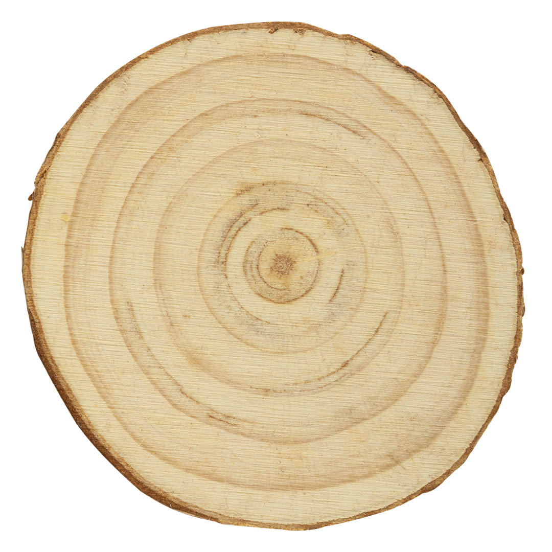 Wooden magnet